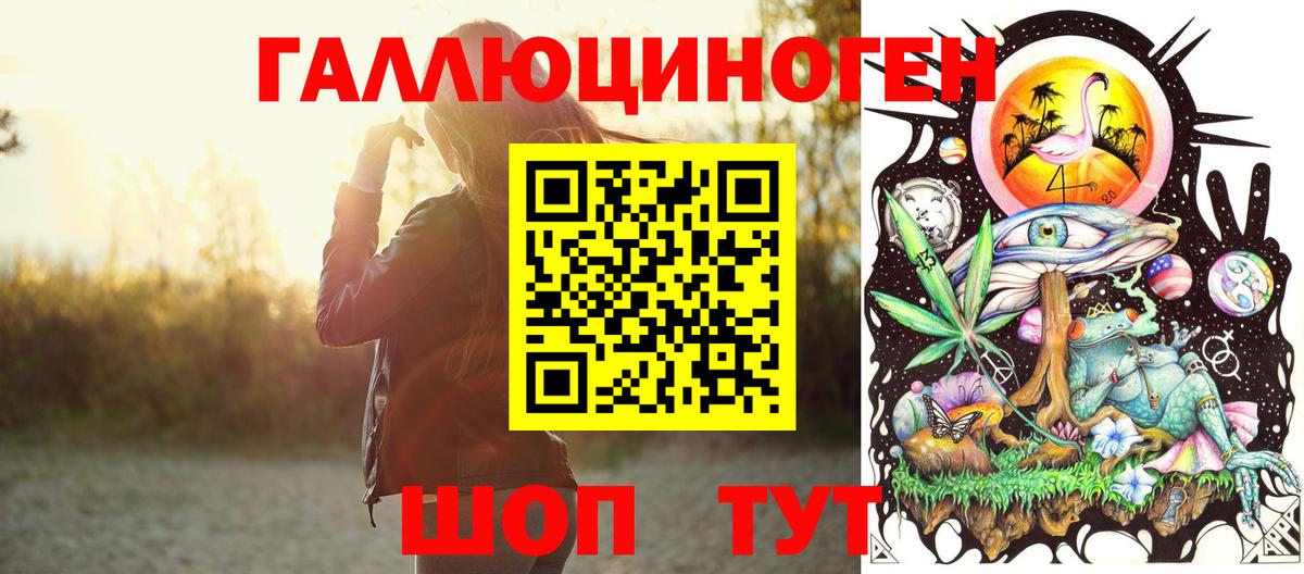 Галлюциногенные грибы Psilocybe  Псилоцибиновые грибы GOLDEN TEACHER  сколько стоит  Йошкар-Ола  Вход с VPN 