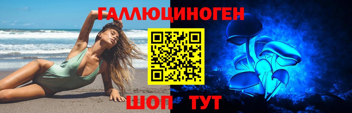 Псилоцибиновые грибы мицелий Йошкар-Ола